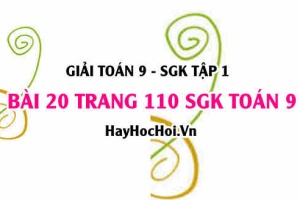 Giải bài 20 trang 110 SGK Toán 9 tập 1